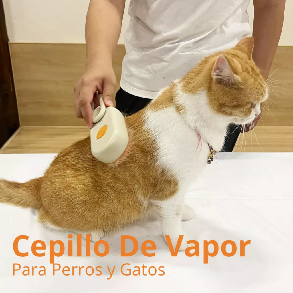 Cepillo de Vapor USB