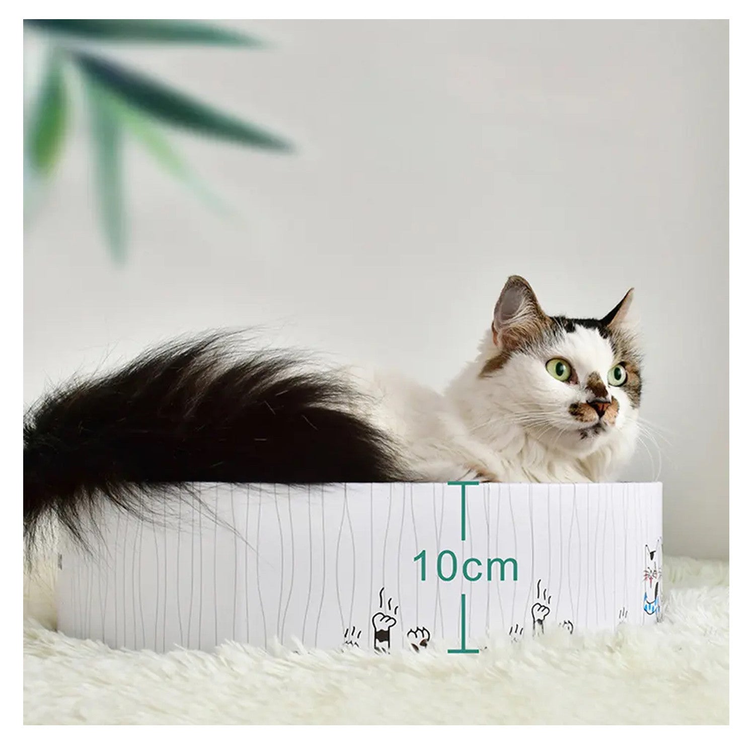 Rascador Redondo para Gatos