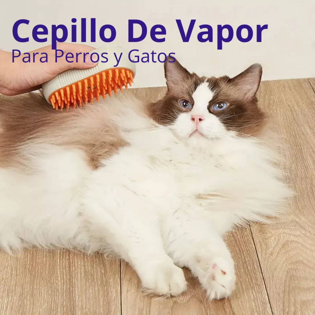 Cepillo de Vapor USB