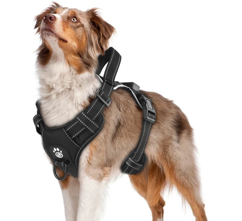 Arnés Led Ergonómico